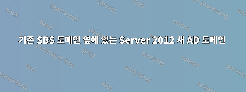 기존 SBS 도메인 옆에 있는 Server 2012 새 AD 도메인