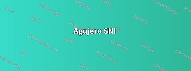 Agujero SNI