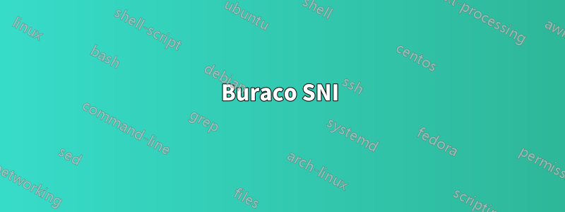 Buraco SNI