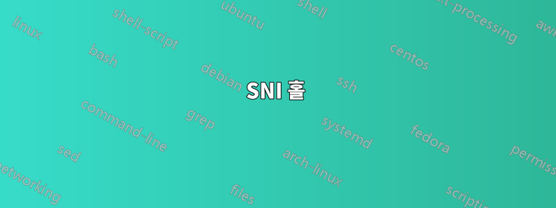 SNI 홀