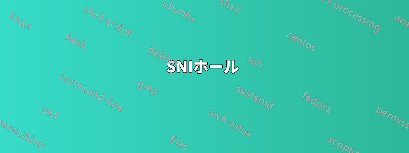 SNIホール