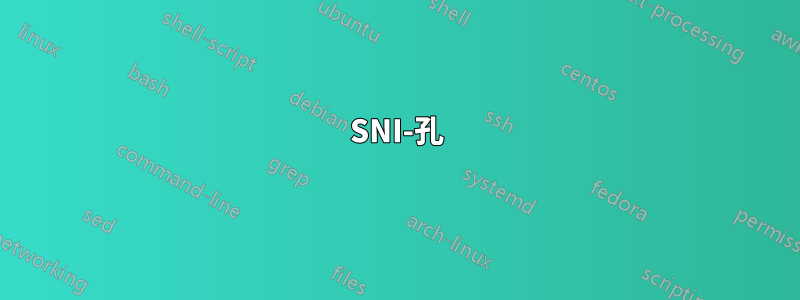 SNI-孔