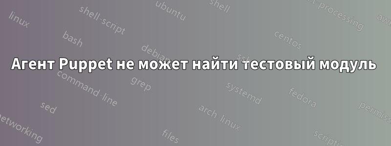 Агент Puppet не может найти тестовый модуль