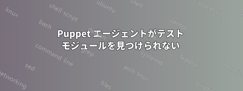 Puppet エージェントがテスト モジュールを見つけられない