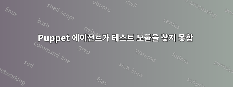 Puppet 에이전트가 테스트 모듈을 찾지 못함