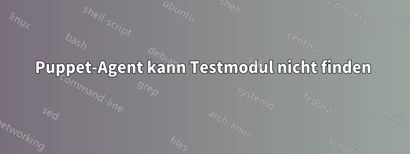 Puppet-Agent kann Testmodul nicht finden