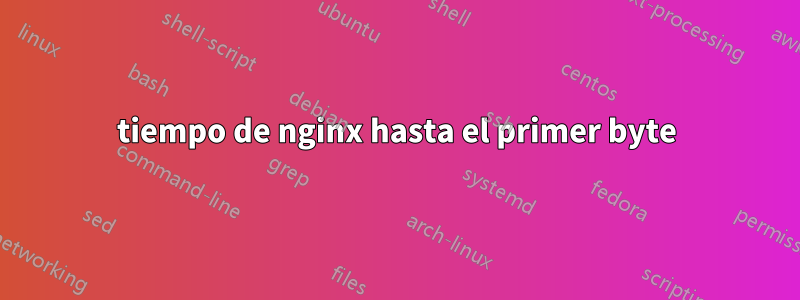 tiempo de nginx hasta el primer byte