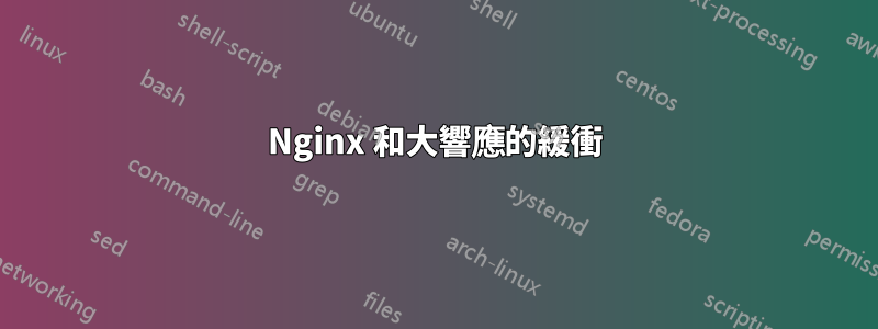 Nginx 和大響應的緩衝