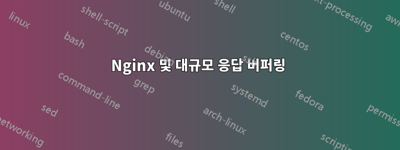 Nginx 및 대규모 응답 버퍼링