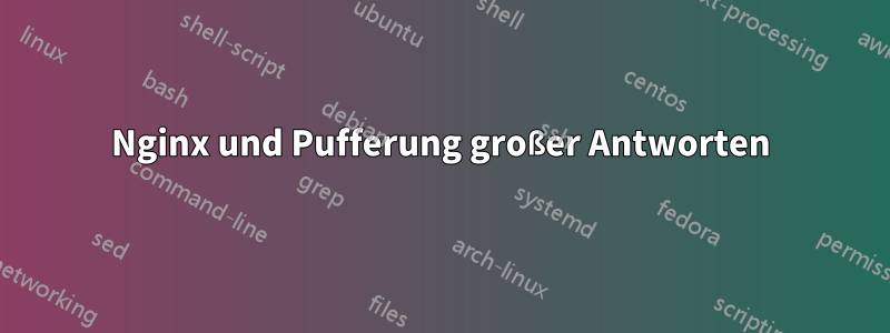 Nginx und Pufferung großer Antworten