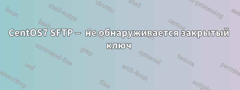 CentOS7 SFTP — не обнаруживается закрытый ключ