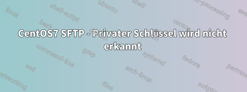 CentOS7 SFTP - Privater Schlüssel wird nicht erkannt