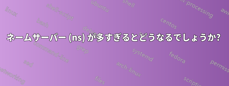 ネームサーバー (ns) が多すぎるとどうなるでしょうか?