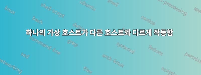 하나의 가상 호스트가 다른 호스트와 다르게 작동함