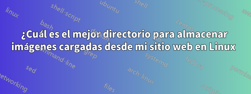 ¿Cuál es el mejor directorio para almacenar imágenes cargadas desde mi sitio web en Linux 