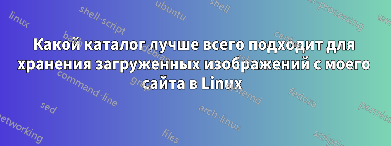 Какой каталог лучше всего подходит для хранения загруженных изображений с моего сайта в Linux 