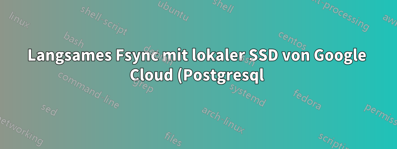 Langsames Fsync mit lokaler SSD von Google Cloud (Postgresql)