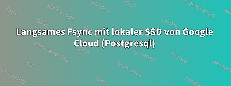 Langsames Fsync mit lokaler SSD von Google Cloud (Postgresql)