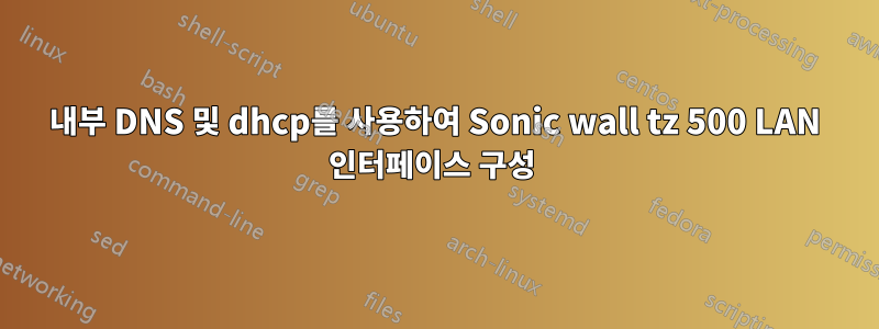 내부 DNS 및 dhcp를 사용하여 Sonic wall tz 500 LAN 인터페이스 구성 