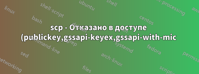 scp - Отказано в доступе (publickey,gssapi-keyex,gssapi-with-mic)