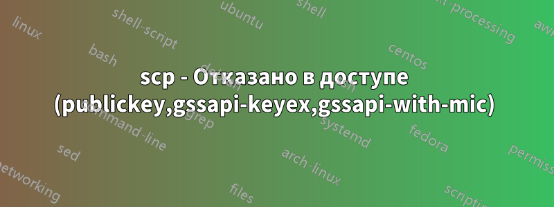 scp - Отказано в доступе (publickey,gssapi-keyex,gssapi-with-mic)