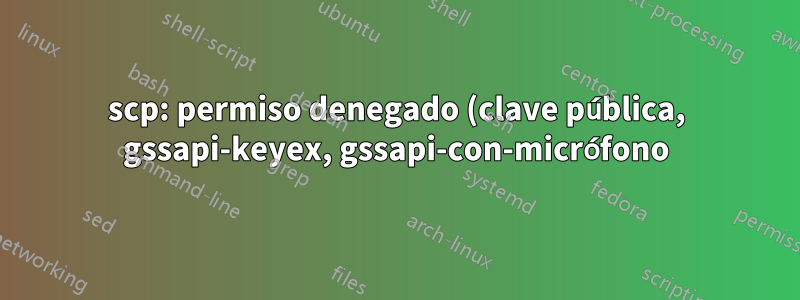 scp: permiso denegado (clave pública, gssapi-keyex, gssapi-con-micrófono)