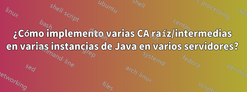 ¿Cómo implemento varias CA raíz/intermedias en varias instancias de Java en varios servidores?