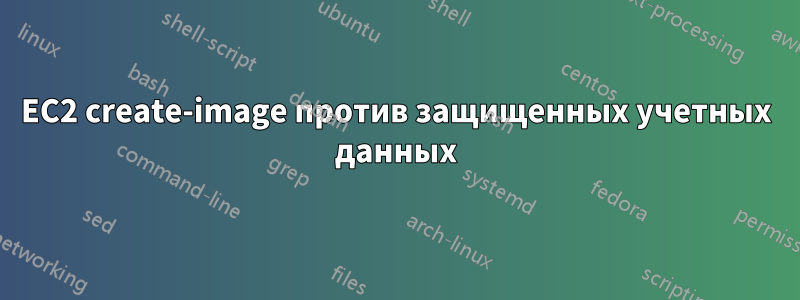 EC2 create-image против защищенных учетных данных