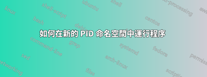 如何在新的 PID 命名空間中運行程序