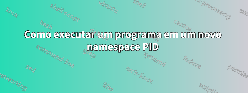 Como executar um programa em um novo namespace PID