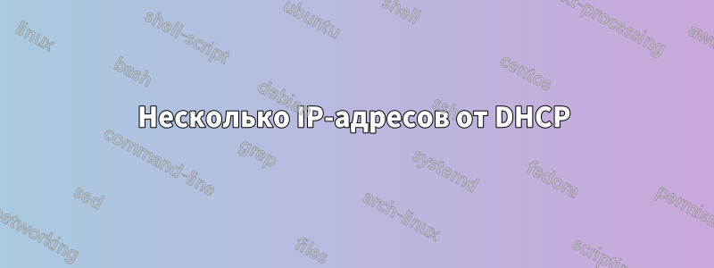 Несколько IP-адресов от DHCP