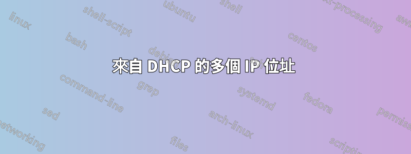 來自 DHCP 的多個 IP 位址