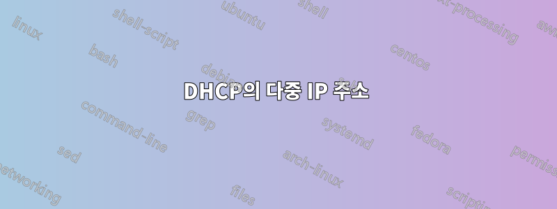 DHCP의 다중 IP 주소