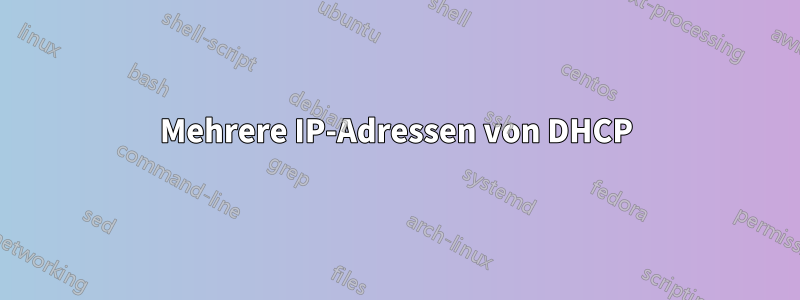 Mehrere IP-Adressen von DHCP