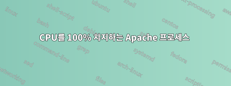 CPU를 100% 차지하는 Apache 프로세스