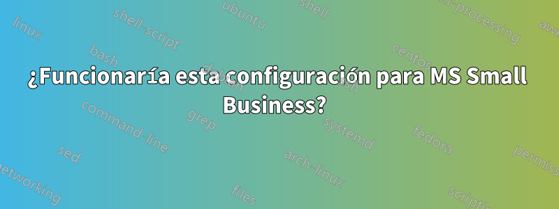 ¿Funcionaría esta configuración para MS Small Business? 