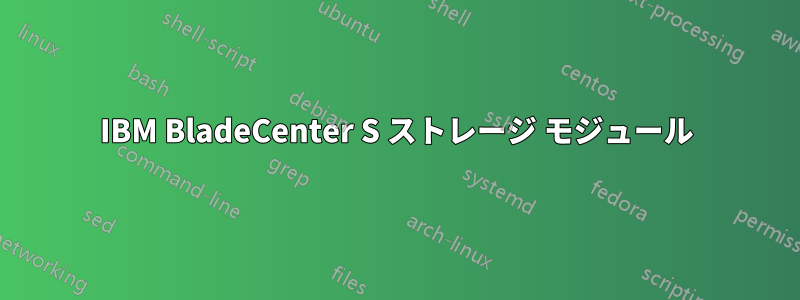 IBM BladeCenter S ストレージ モジュール