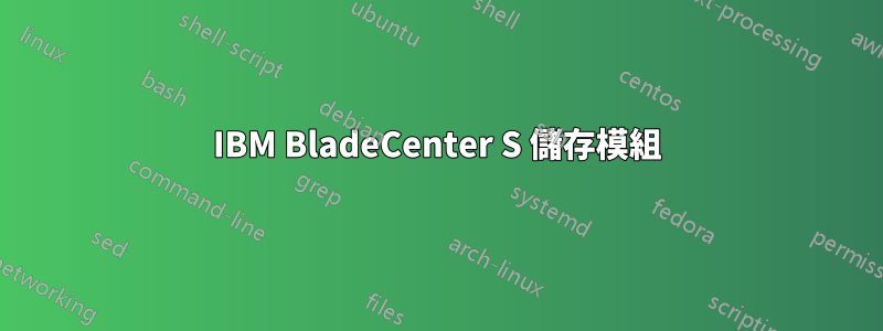 IBM BladeCenter S 儲存模組