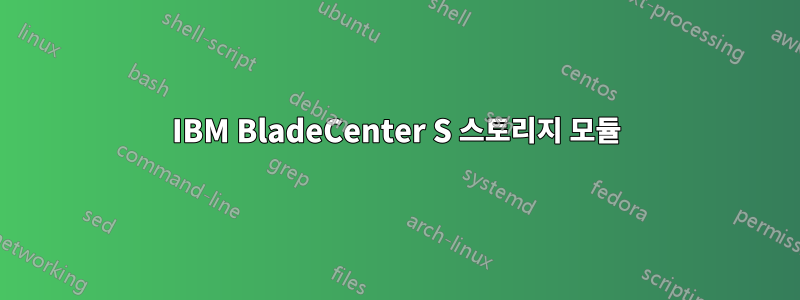 IBM BladeCenter S 스토리지 모듈