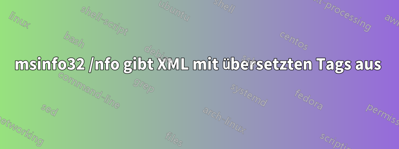 msinfo32 /nfo gibt XML mit übersetzten Tags aus