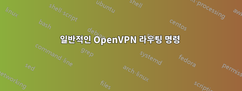 일반적인 OpenVPN 라우팅 명령