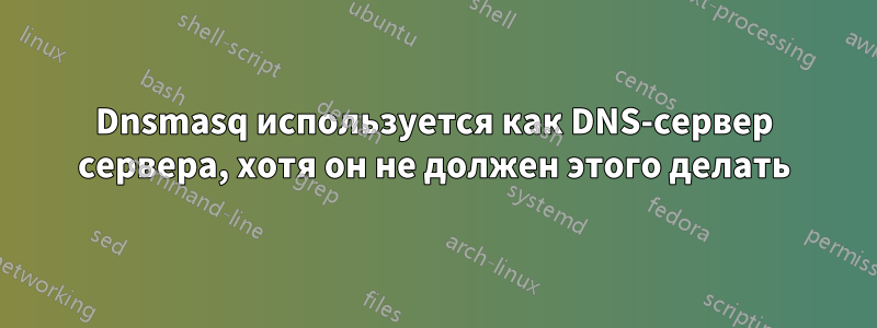 Dnsmasq используется как DNS-сервер сервера, хотя он не должен этого делать