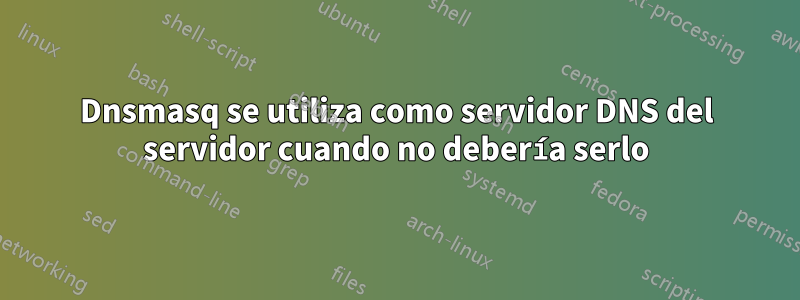 Dnsmasq se utiliza como servidor DNS del servidor cuando no debería serlo