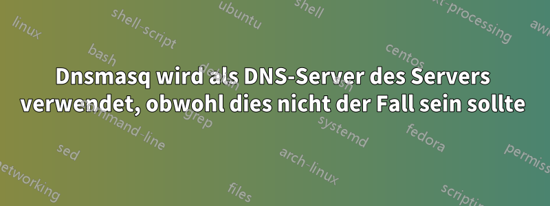 Dnsmasq wird als DNS-Server des Servers verwendet, obwohl dies nicht der Fall sein sollte