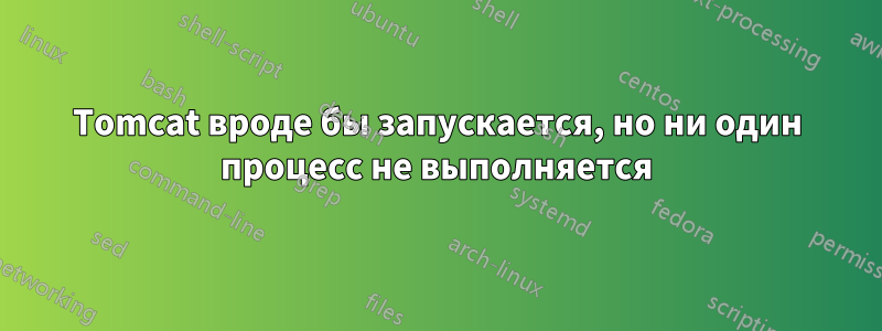 Tomcat вроде бы запускается, но ни один процесс не выполняется