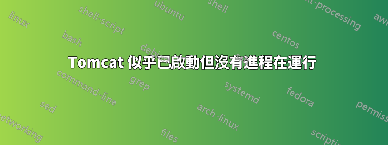 Tomcat 似乎已啟動但沒有進程在運行