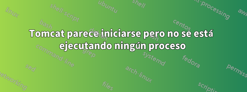 Tomcat parece iniciarse pero no se está ejecutando ningún proceso