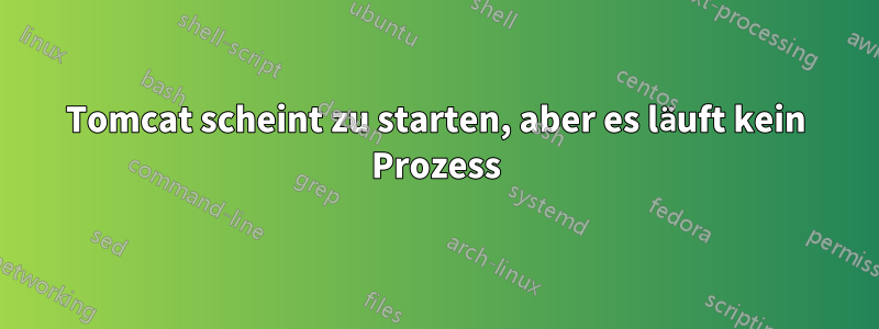 Tomcat scheint zu starten, aber es läuft kein Prozess