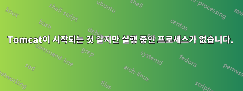 Tomcat이 시작되는 것 같지만 실행 중인 프로세스가 없습니다.