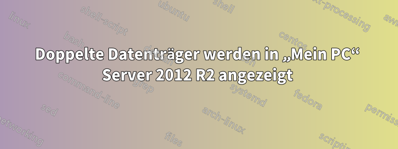Doppelte Datenträger werden in „Mein PC“ Server 2012 R2 angezeigt